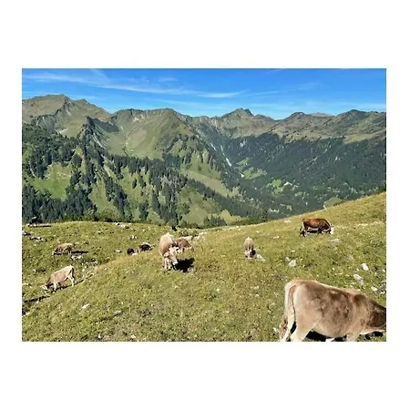 Birke Im Hoefle Semesterbostad Mittelberg
