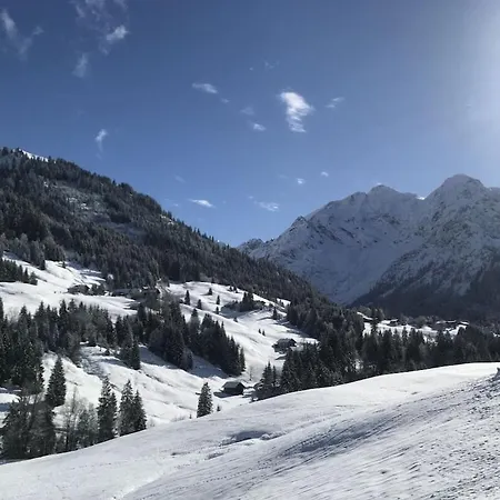 Birke Im Hoefle Mittelberg