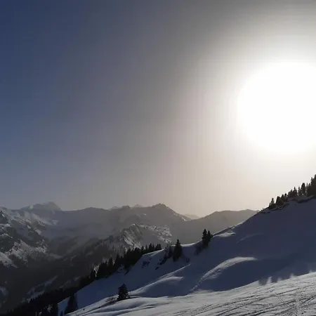 Birke Im Hoefle Mittelberg